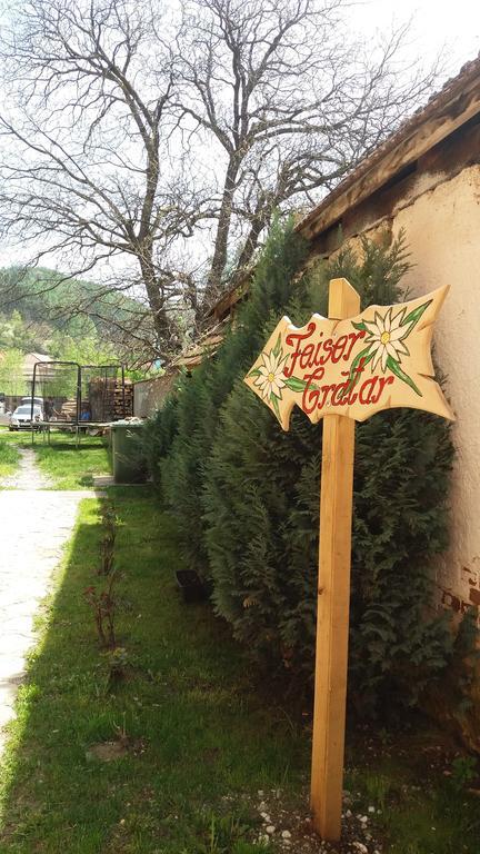Pensiunea Cold Mountains Rîşnov Εξωτερικό φωτογραφία